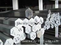 AISI 304 stainless steel hexgonal bar