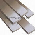 AISI 316 Stainless Steel Flat Bar 1