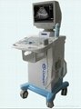 Digital Trolley Ultrasound Scanner