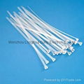 Metal Pawl Nylon Cable Ties 1