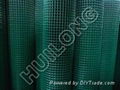 Welded Wire Mesh Roll 1