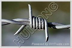 Barbed wire  3