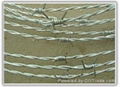 Barbed wire  4