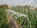 Razor Barbed Wire