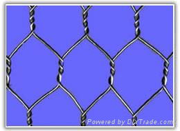 Hexagonal Wire Netting