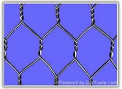 Hexagonal Wire Netting