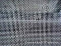 Square Wire Mesh 1