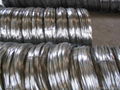 Galvanized Iron Wire