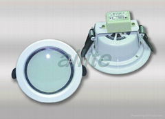 LED DOWN LIGHT