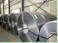 Cold Rolled steel coil/sheet