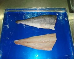 FROZEN SAITHE FILLETS