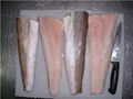 FROZEN PACIFIC HAKE FILLETS