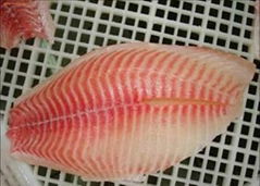 FROZEN TILAPIA FILLETS WR/GS(FARMED)