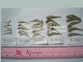 Dried Anchovy 3