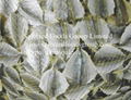 Dried Yellow Strip Fish Fillets 1