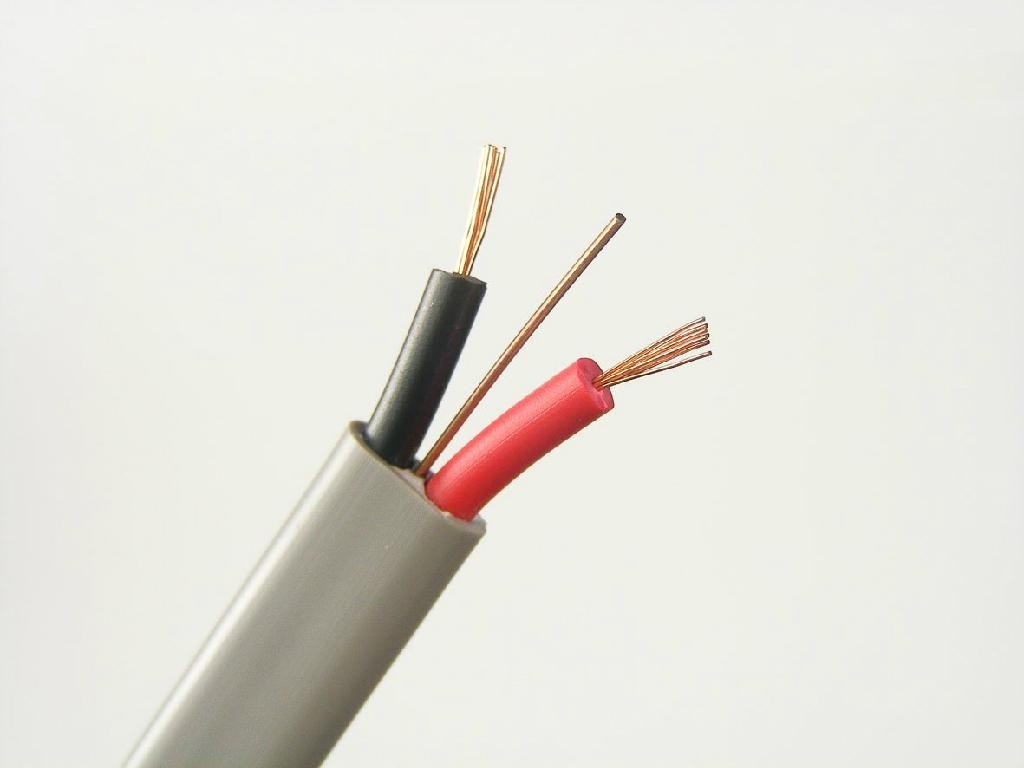 flat BVVB electrical wiring - ZHENHUA OEM (China