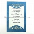 2012 hot! Various designs of invitation