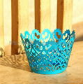 laser cut "fence" cupcake wrappers in pearl paper or color paper 2