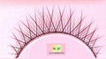 common eyelash 2