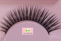 common eyelash 4