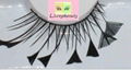 feather eyelash 2