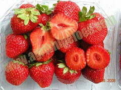 IQF strawberry