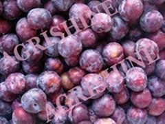 IQF plum or frozen plum