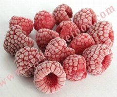 IQF raspberry or frozen raspberry
