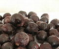 IQF black currant or frozen black currant 1