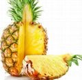 IQF pineapple or frozen pineapple