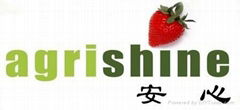 Linyi Agrishine Food Co.,Ltd