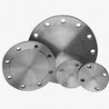 titanium flanges