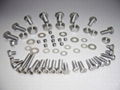 titanium screws 4