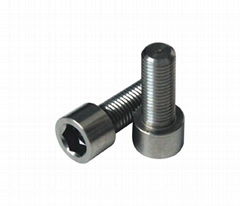 titanium screws