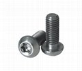 titanium screws 2