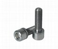 titanium screws 3