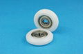 Plastic Bearing 1