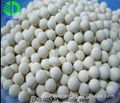 DMS-005 Molecular Sieve 5A