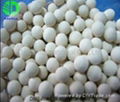 DMS-006 Molecular Sieve 13X