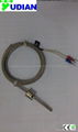 pt100 temperature sensor