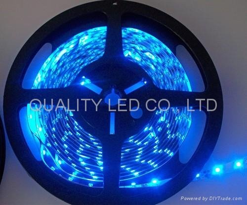 3528SMD LED Flexible Strip Light 5m/roll 24W 3