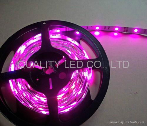 3528SMD LED Flexible Strip Light 5m/roll 24W 4