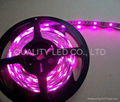 3528SMD LED Flexible Strip Light 5m/roll 24W 4