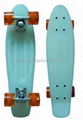 plastic skateboard 2