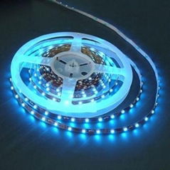 led strips