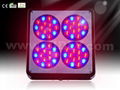 LED grow lights A4 1