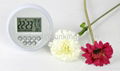 Moonlight Pressure-relief alarm clock 1