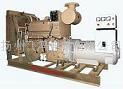 The cummins diesel generator set