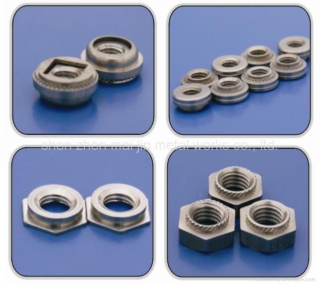 slef clinch screw nut