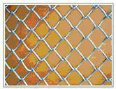 Link Chain Fence